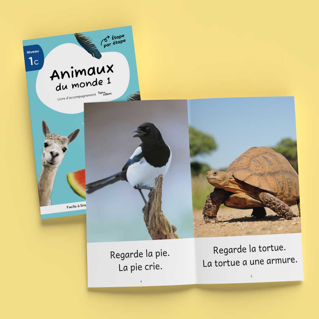 Tandem : Animaux du monde 1