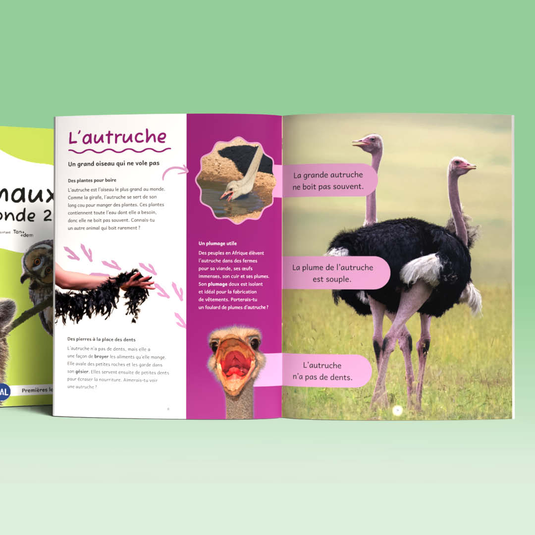 Tandem : Animaux du monde 2