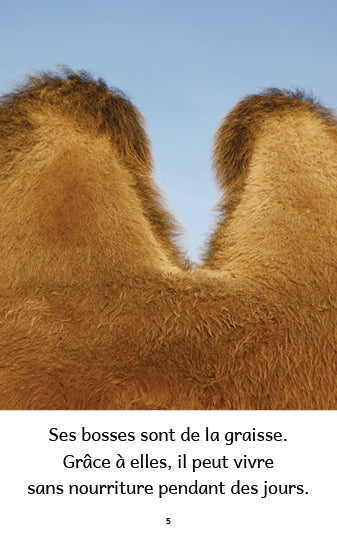 Animaux du monde 2 – Série de 10 livres
