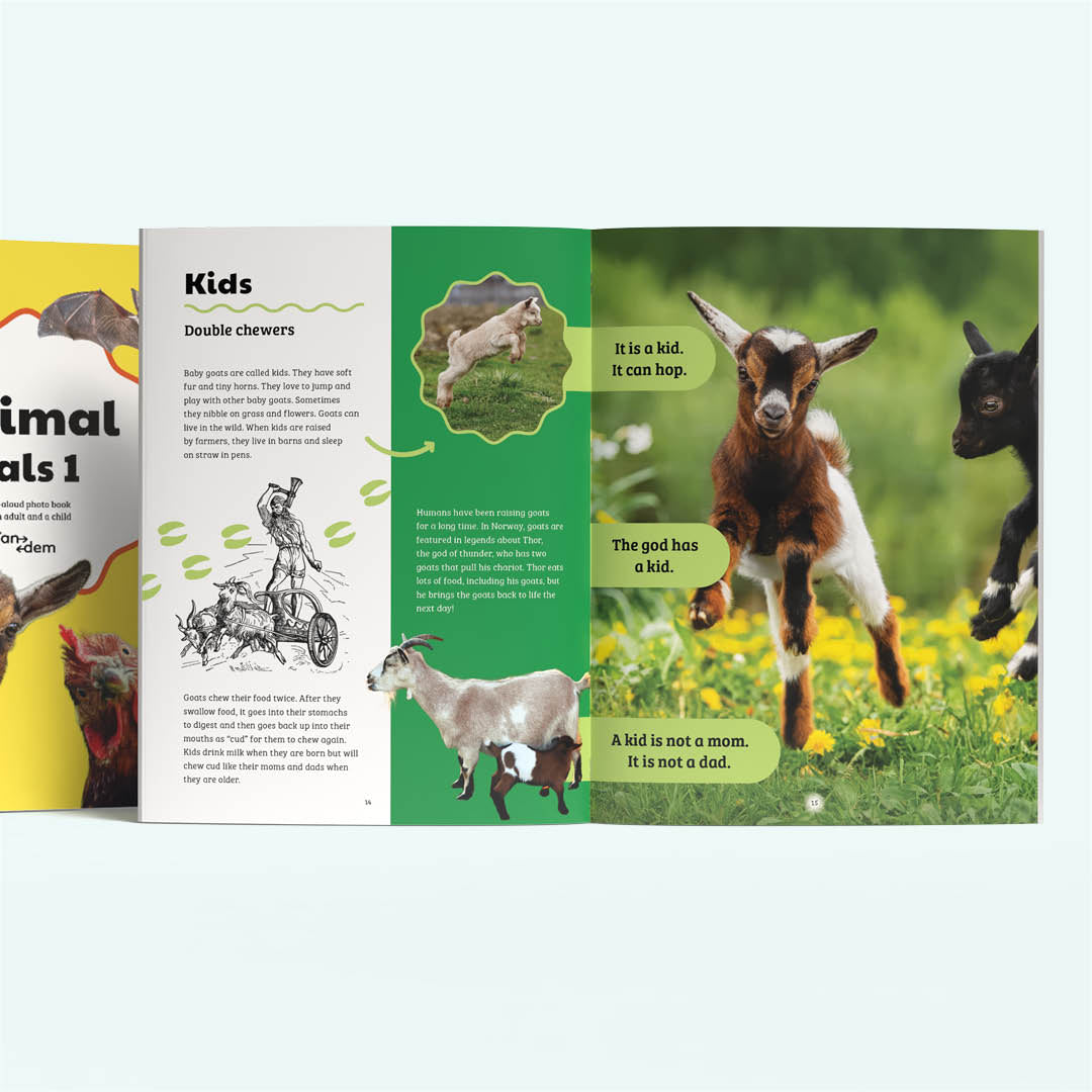 tandem: Animal Pals 1