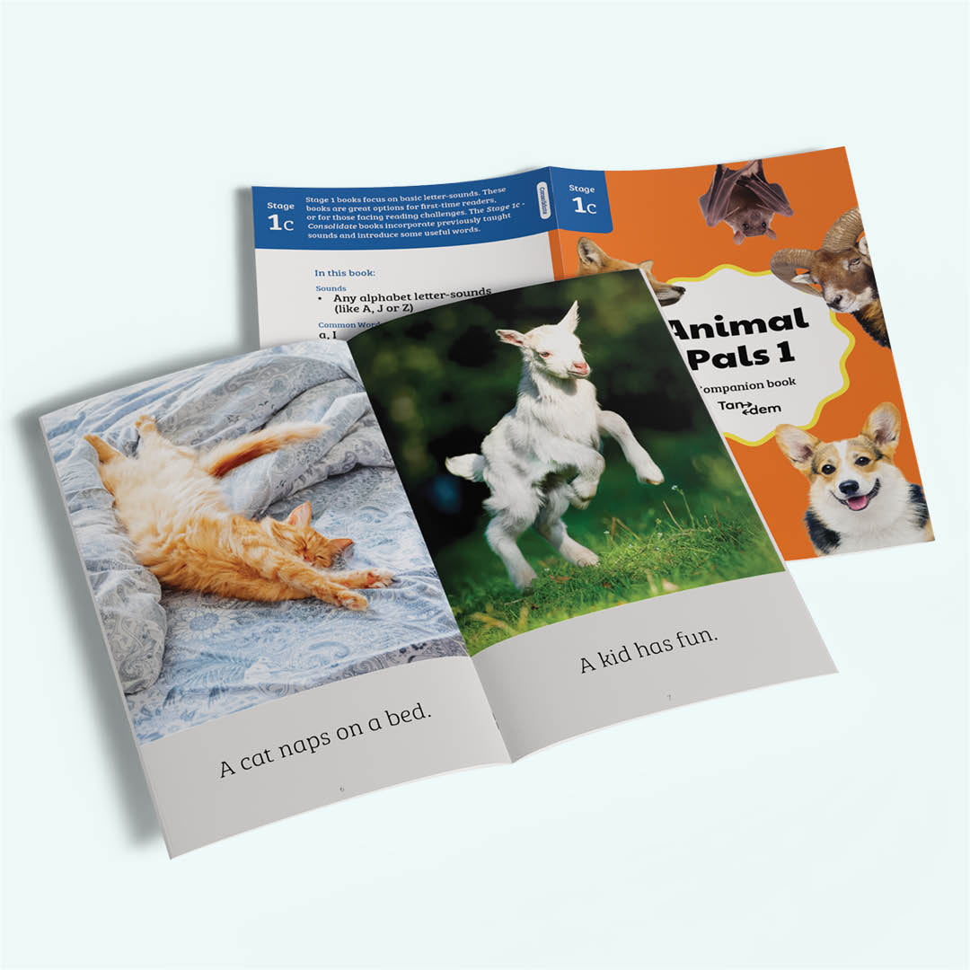 tandem: Animal Pals 1