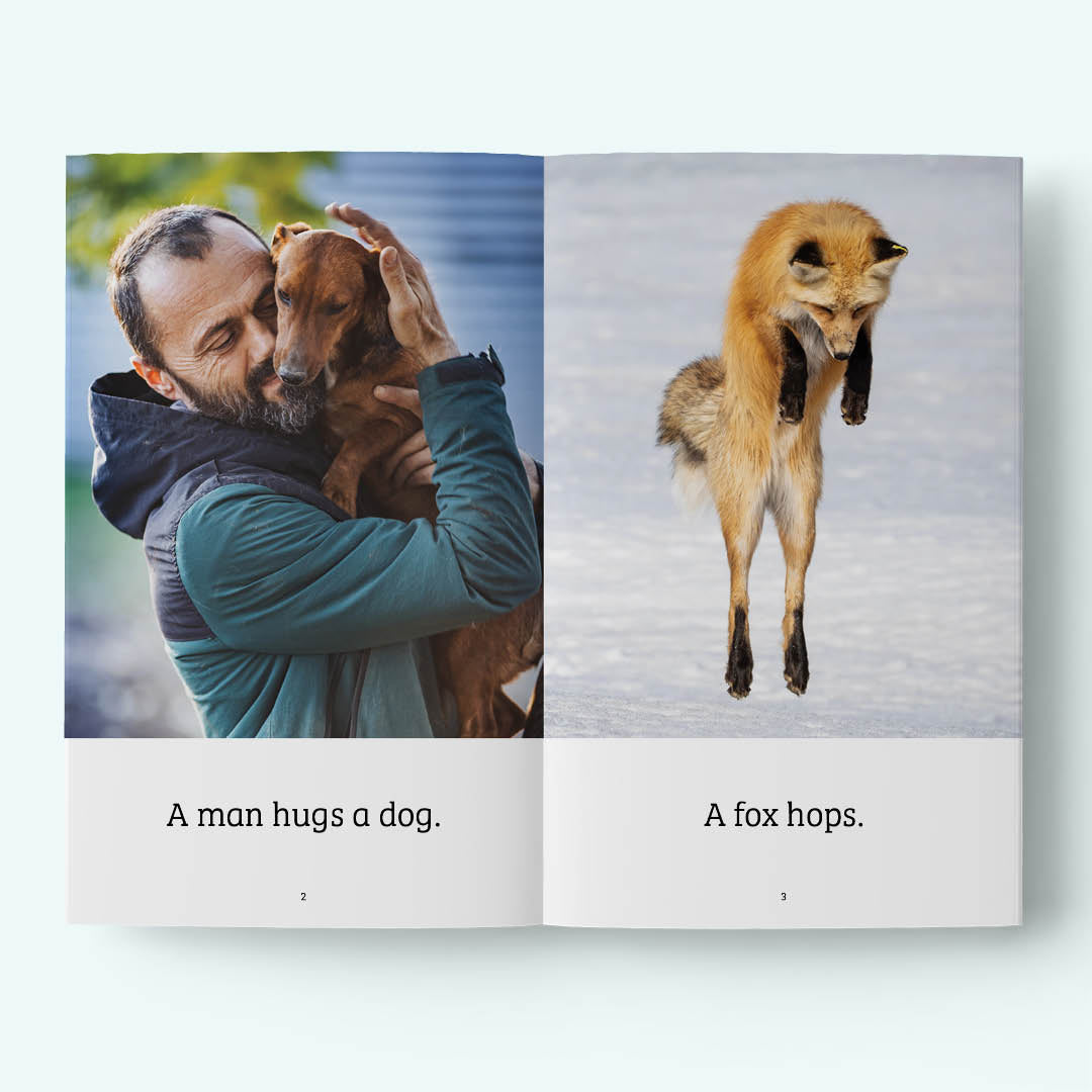 tandem: Animal Pals 1