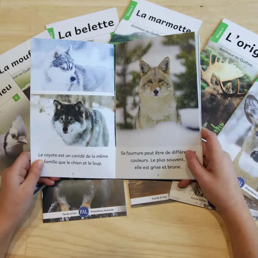 Animaux au Québec (French beginner readers)