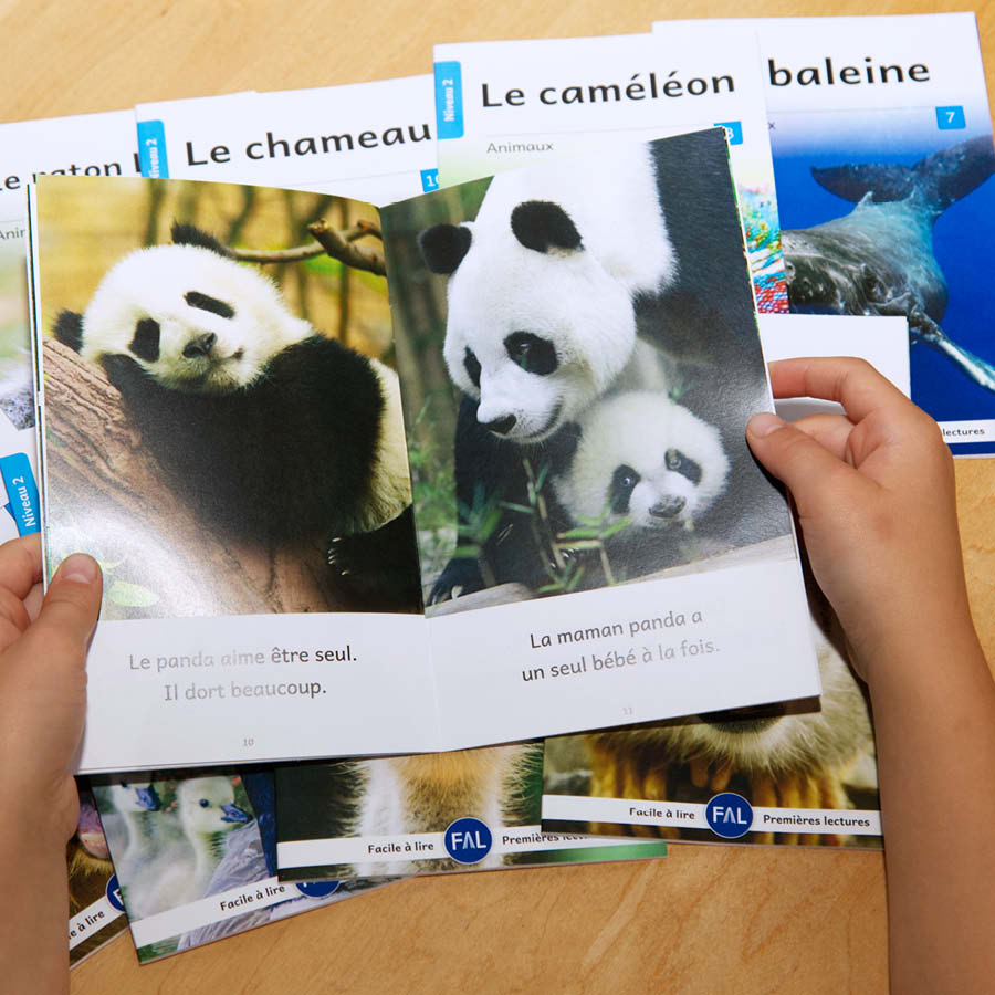Animaux du monde 2 – Série de 10 livres