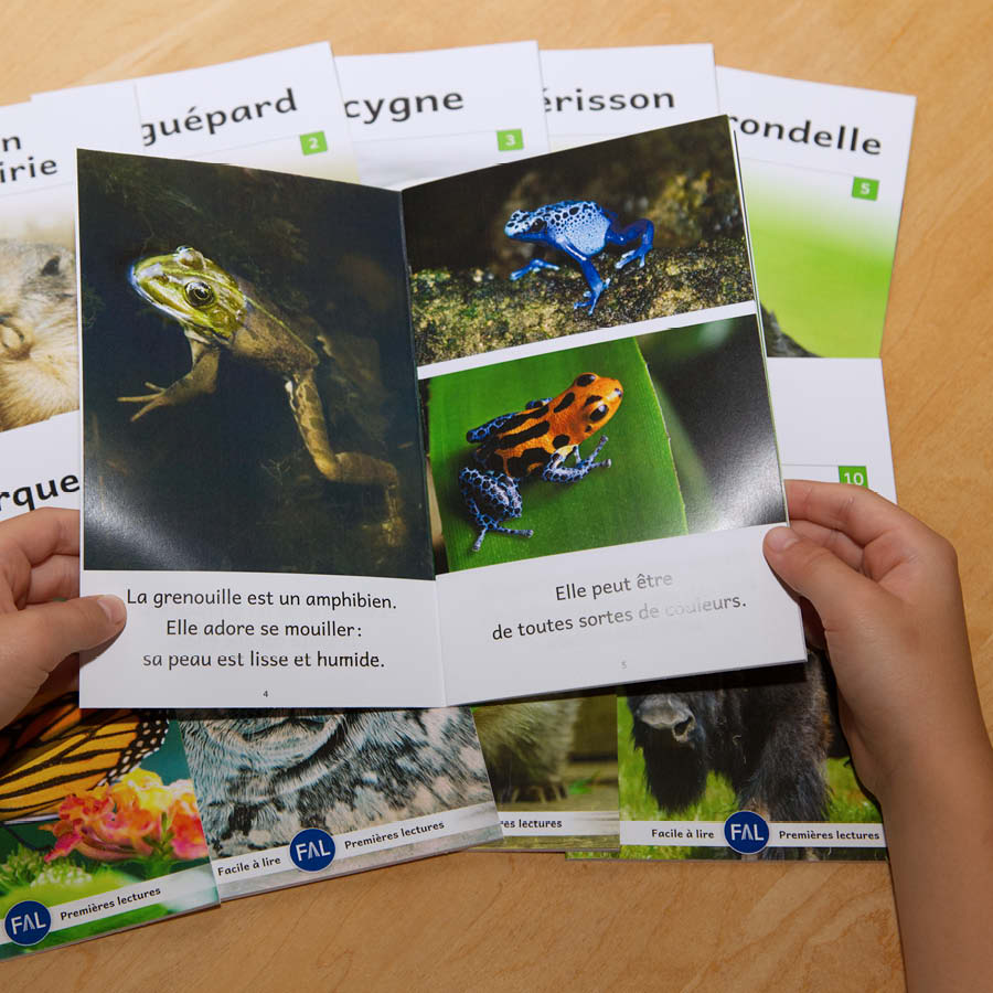 Animaux du monde 3 – Série de 10 livres