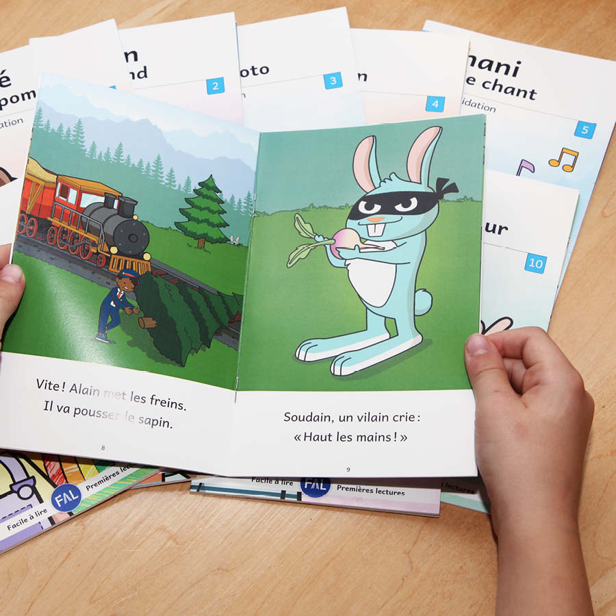 Consolidation 2 (French beginner readers)