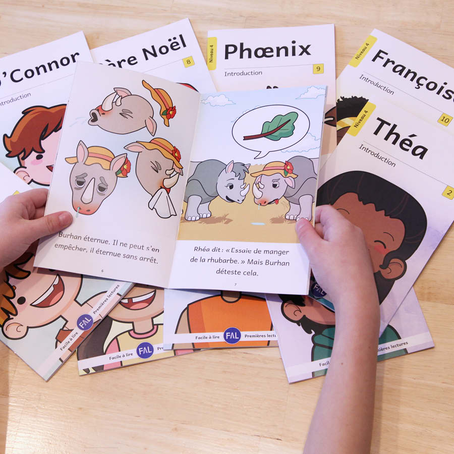 Introduction 4 – (French beginner readers)