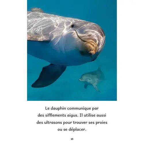 Animaux aquatiques – Série de 10 livres