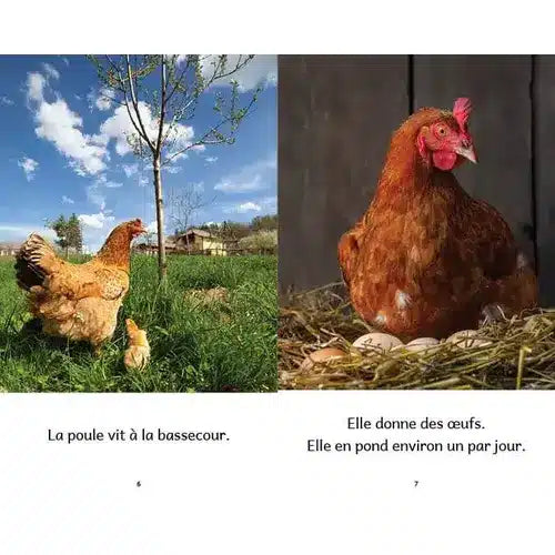 Animaux de la ferme (French beginner readers)