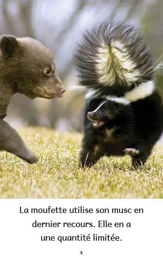 Animaux au Québec (French beginner readers)