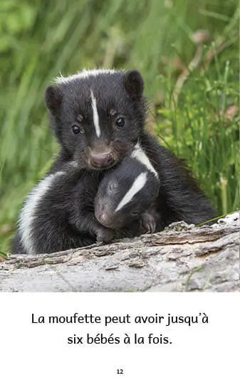 Animaux au Québec (French beginner readers)