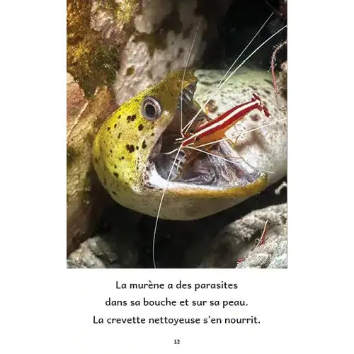 Animaux aquatiques – Série de 10 livres