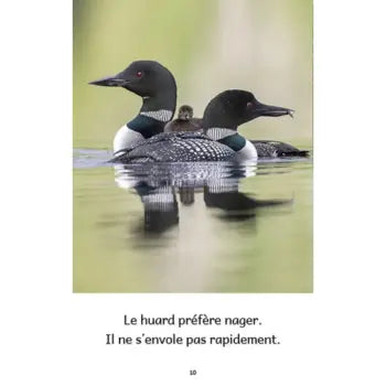 Animaux au Canada (French beginner readers)