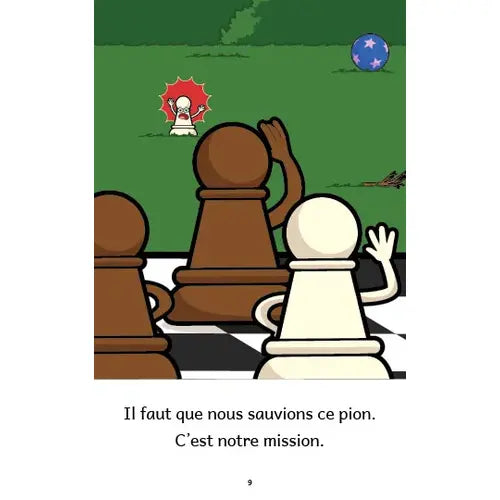 Introduction 3 (French beginner readers)