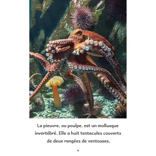 Animaux aquatiques – Série de 10 livres