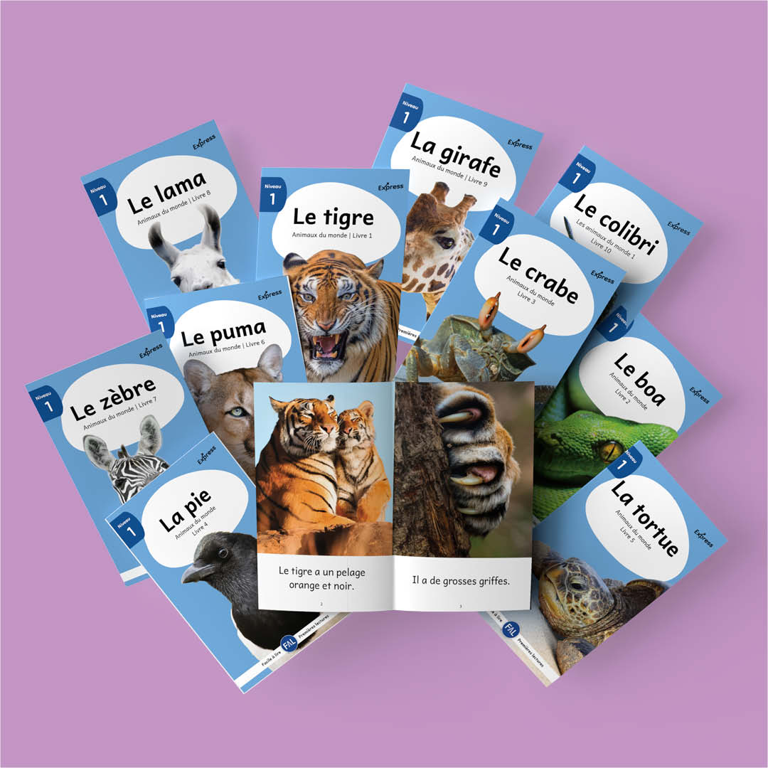 Animaux du monde 1 en éventail