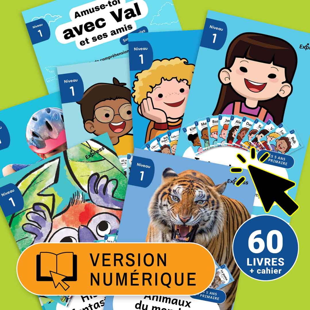 Ensemble Express Niveau 1 - 61 livres numériques - Licence classe - 1 an