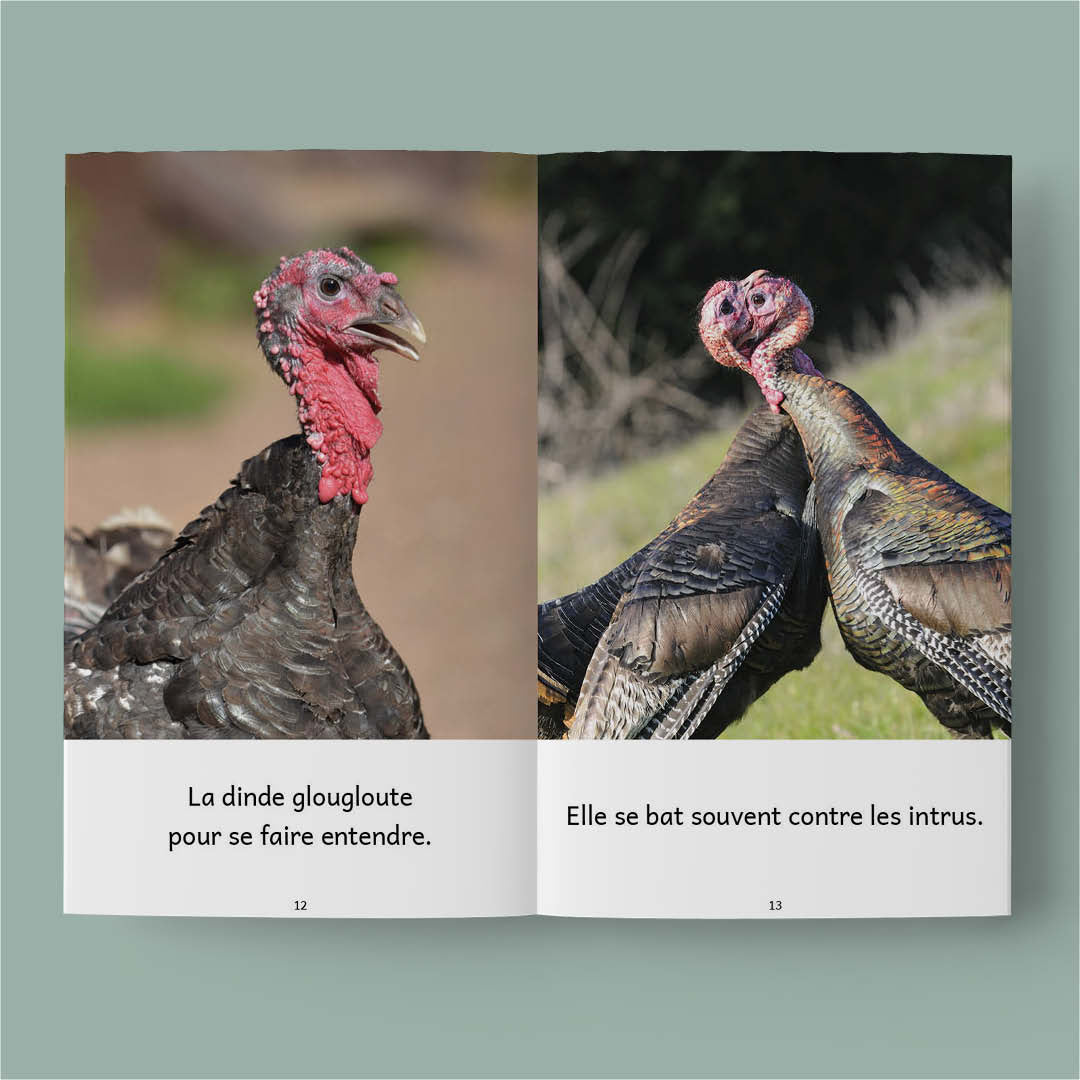 Animaux de la ferme – Série de 10 livres