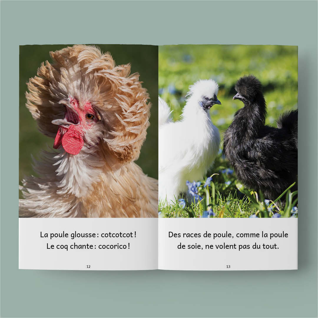 Animaux de la ferme – Série de 10 livres