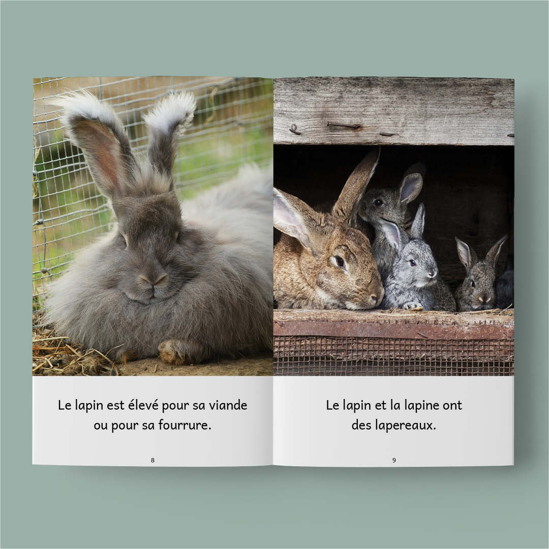 Animaux de la ferme – Série de 10 livres