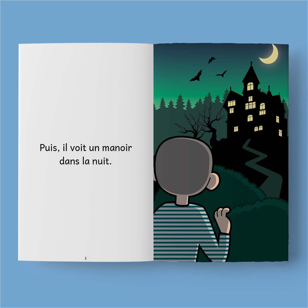 Introduction 2 (French beginner readers)
