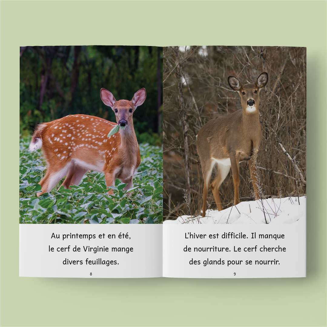 Animaux au Québec (French beginner readers)