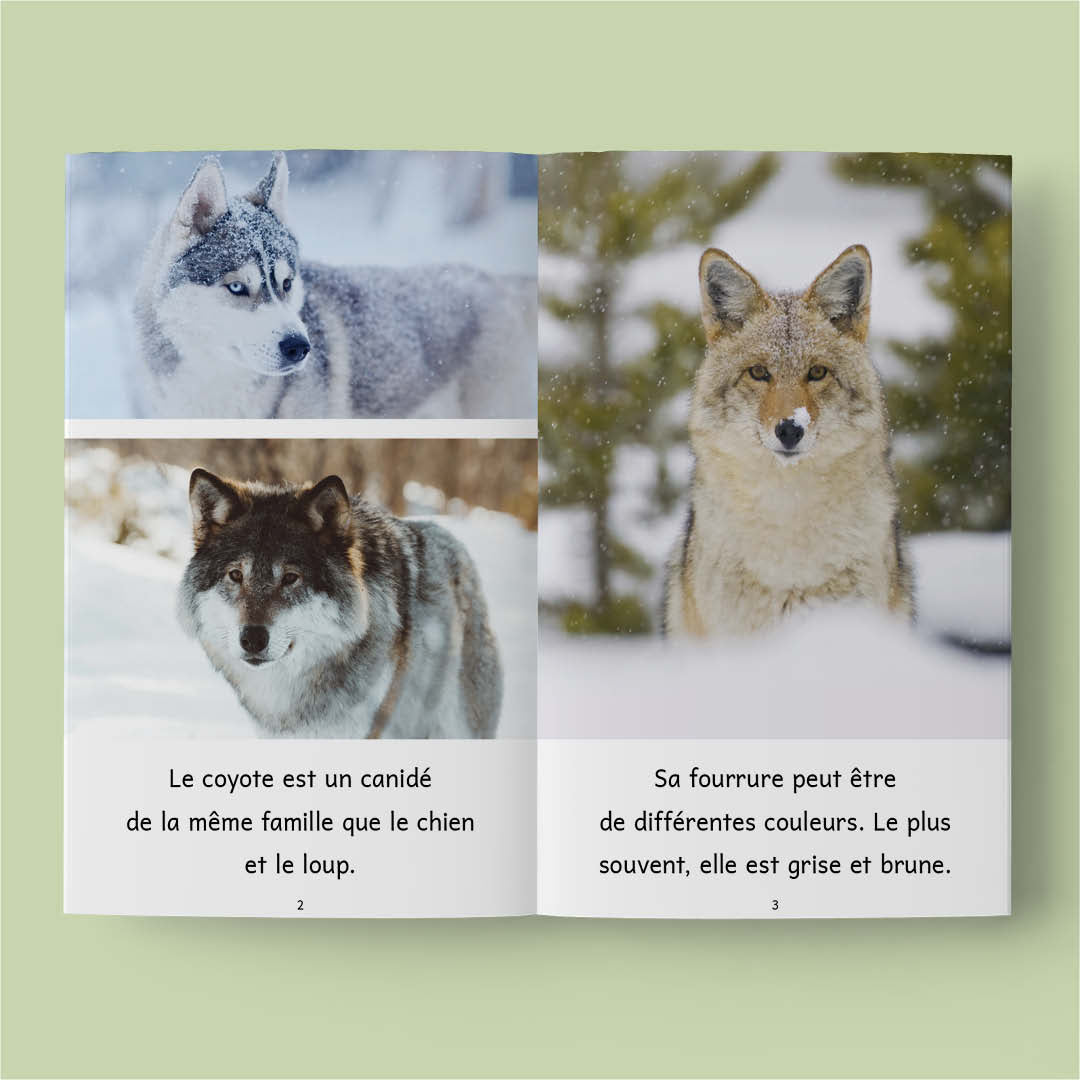 Animaux au Québec (French beginner readers)