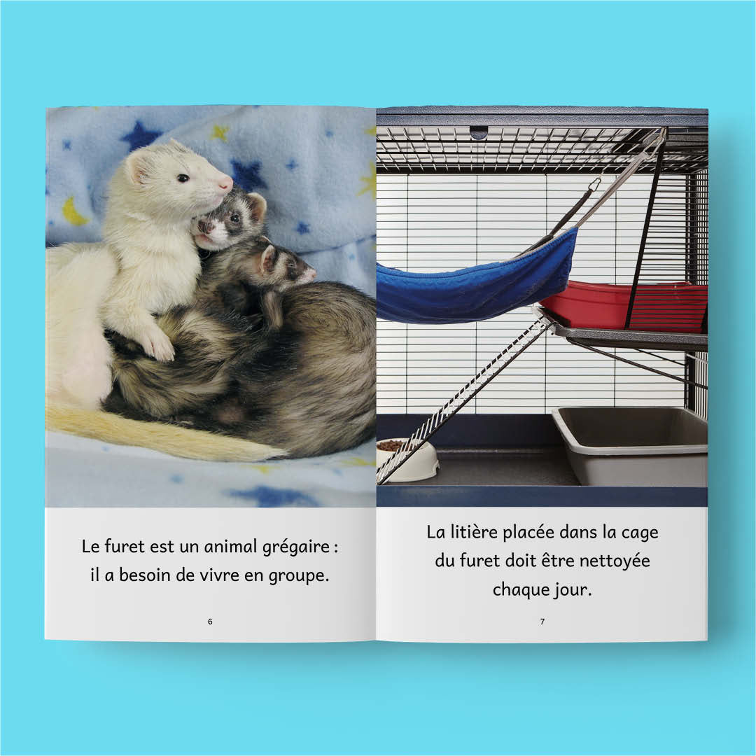 Animaux de compagnie – Série de 10 livres