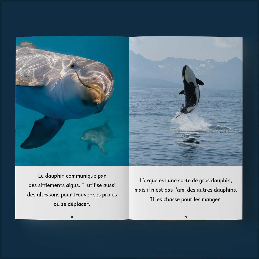 Animaux aquatiques – Série de 10 livres