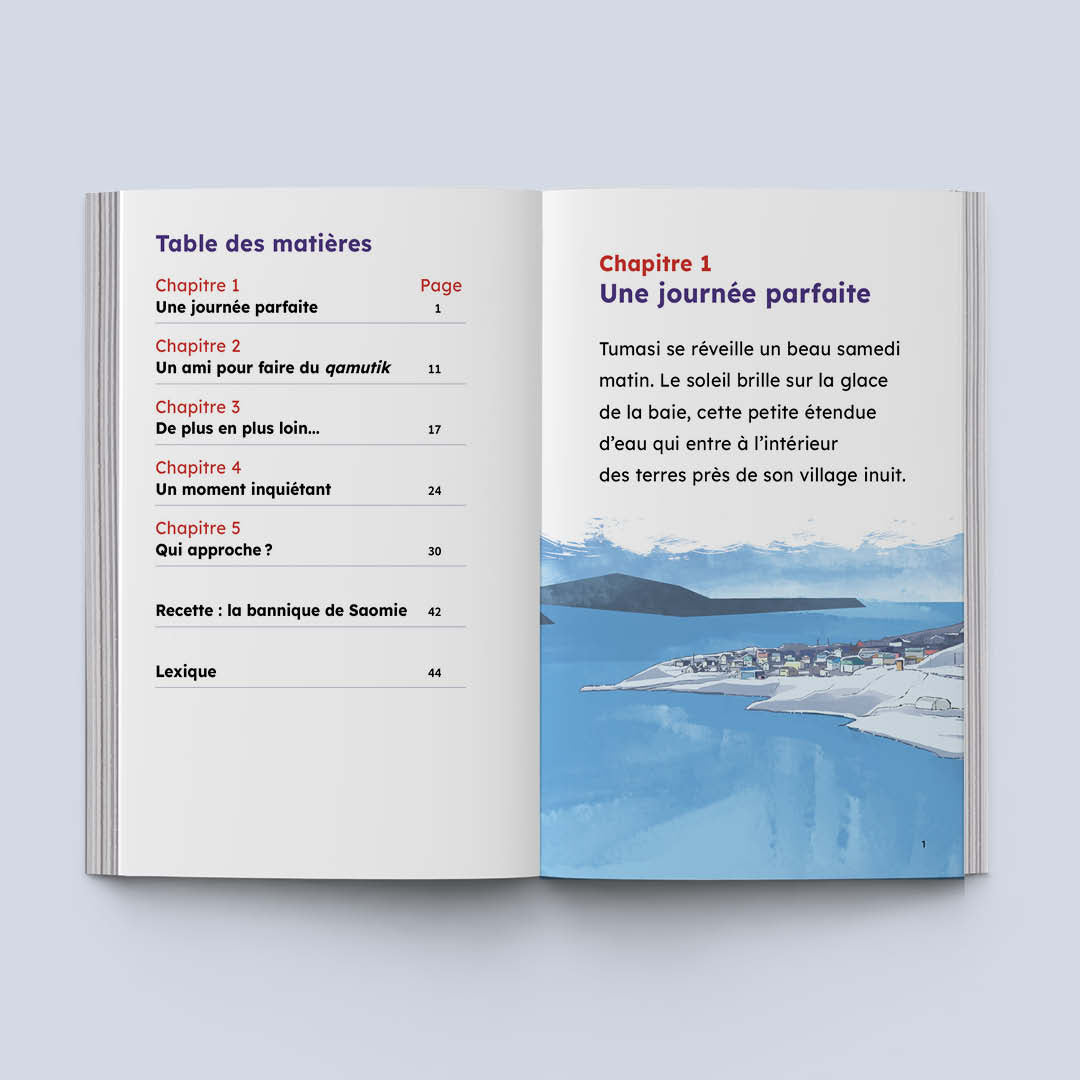 Perdus dans le Grand Nord