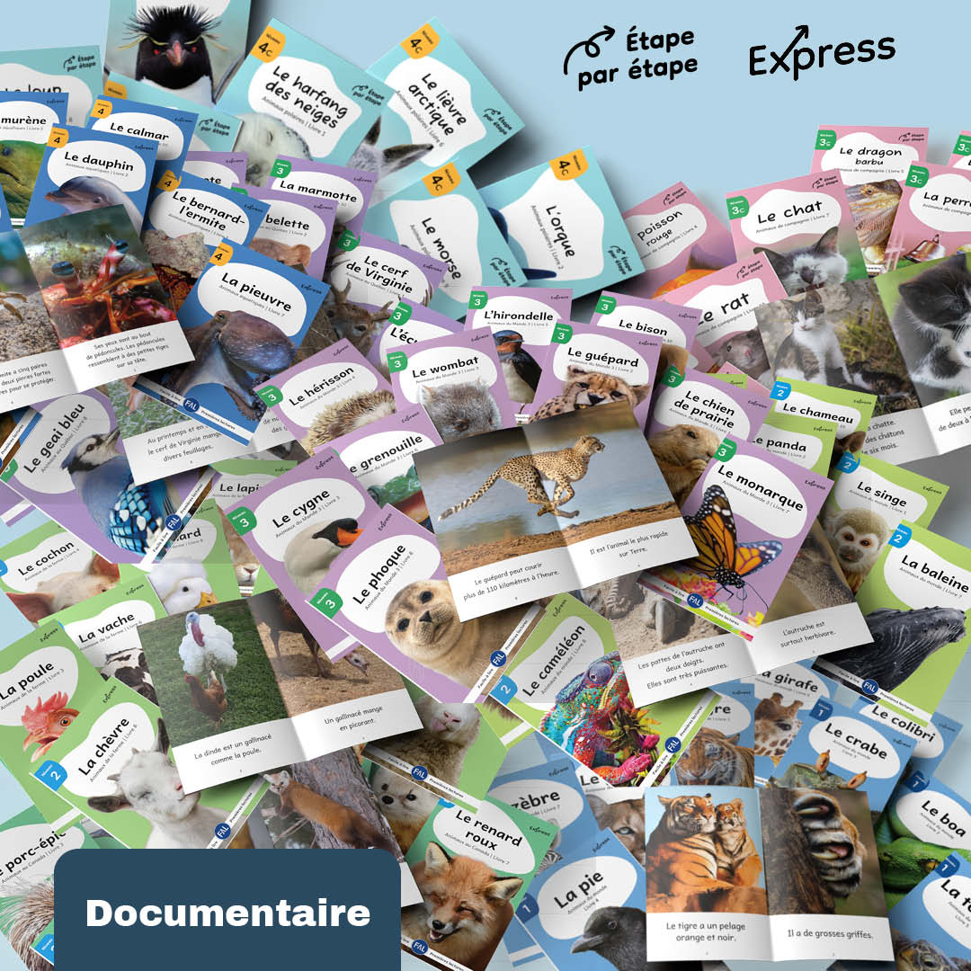 Ensemble documentaire - 127 livres imprimés + 30 livres numériques
