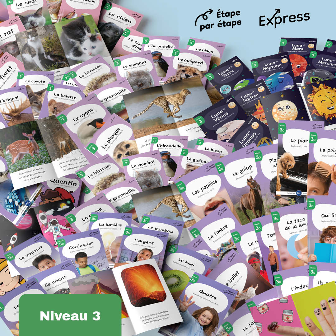 Ensemble de niveau 3 - 104 livres imprimés + 40 livres numériques