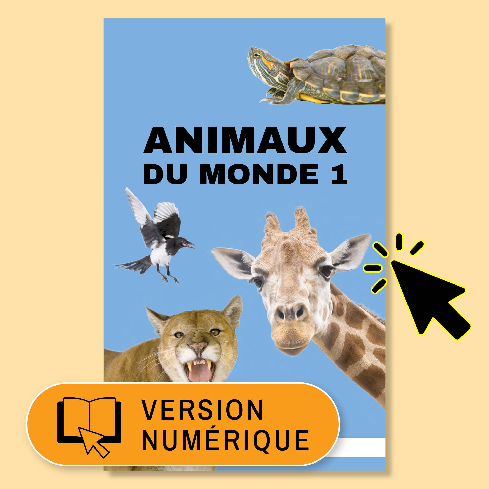 Hi-Lo : Animaux du monde 1 – livre numérique - Licence classe - 1 an