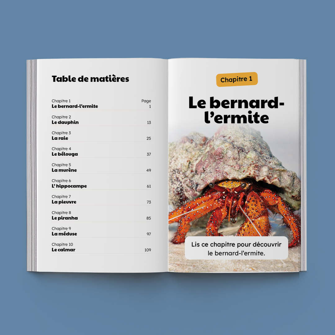 Hi-Lo : Animaux aquatiques