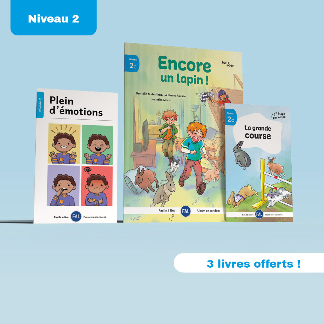 Ensemble de 7 séries laminées niveau 2 +bonus – 73 livres