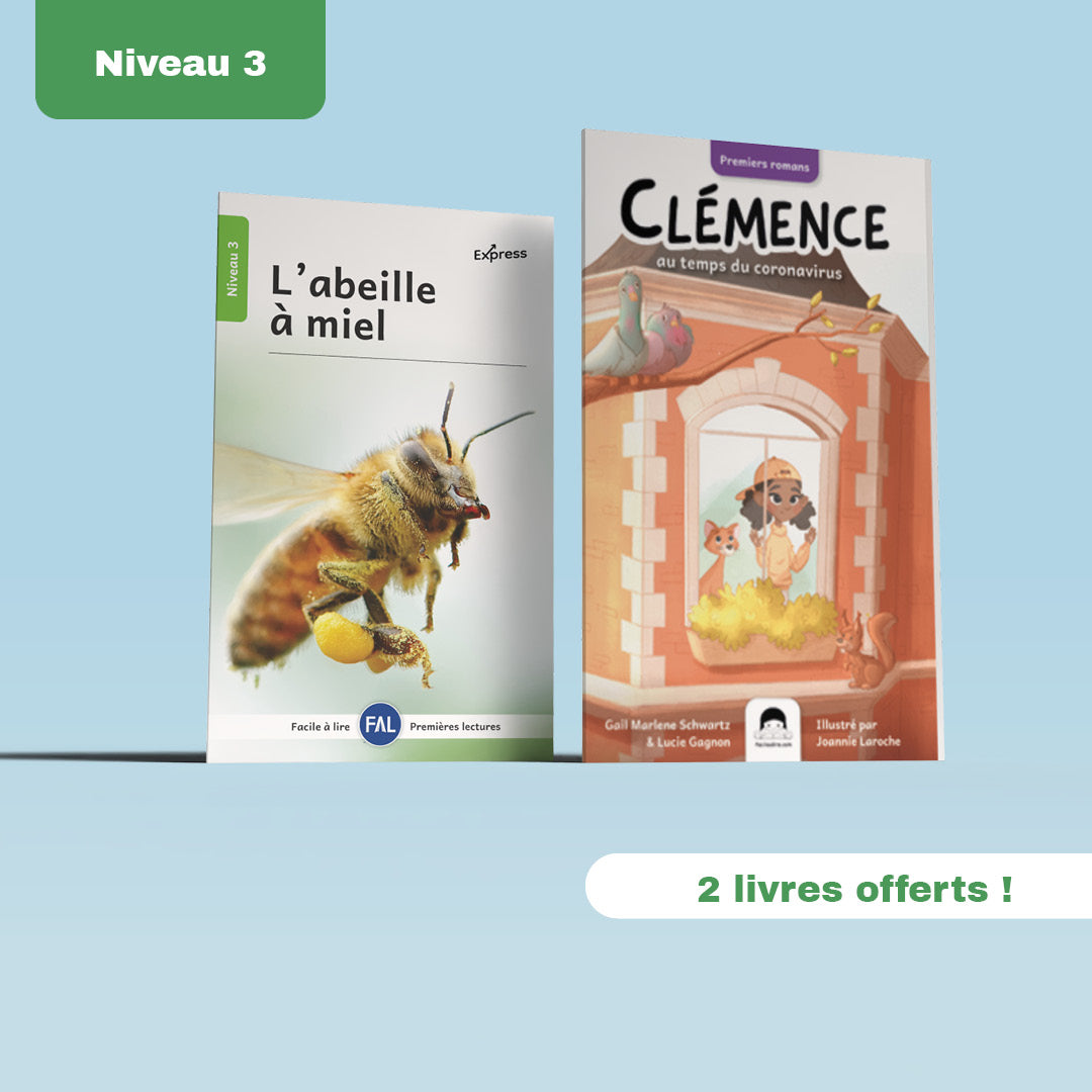 Ensemble de 5 séries laminées niveau 3 +bonus – 53 livres