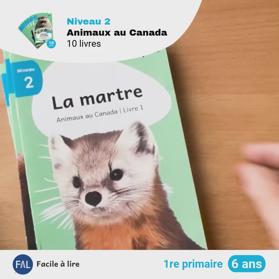 Présentation des livres de la série.