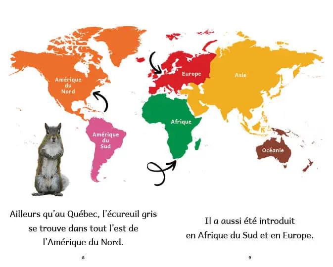 Exemple de page du livre L'écureuil gris