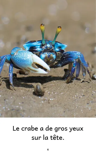 Exemple de page du livre Le crabe